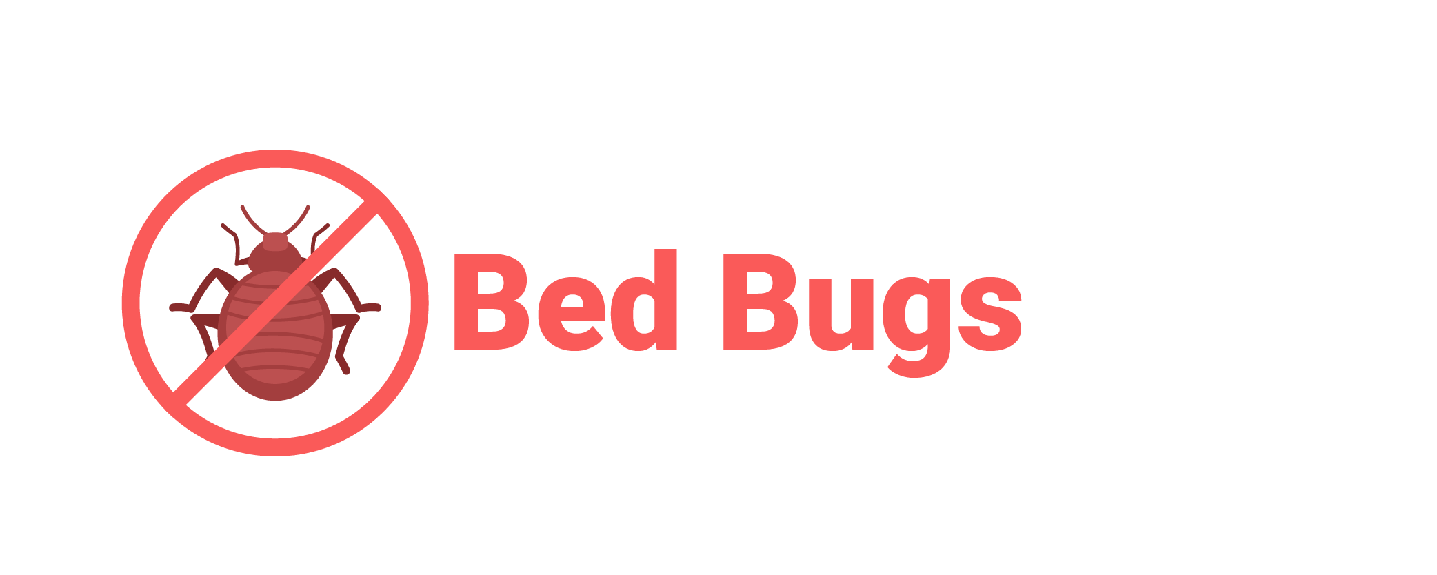 How To Get Rid of Bed Bugs 
